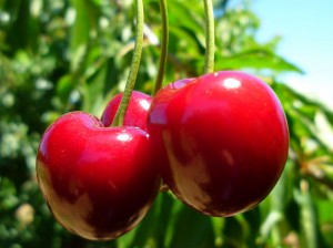 Cherries