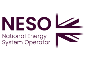 The Leadership Suite Neso Logo